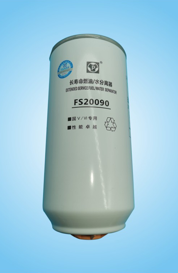 FS20090